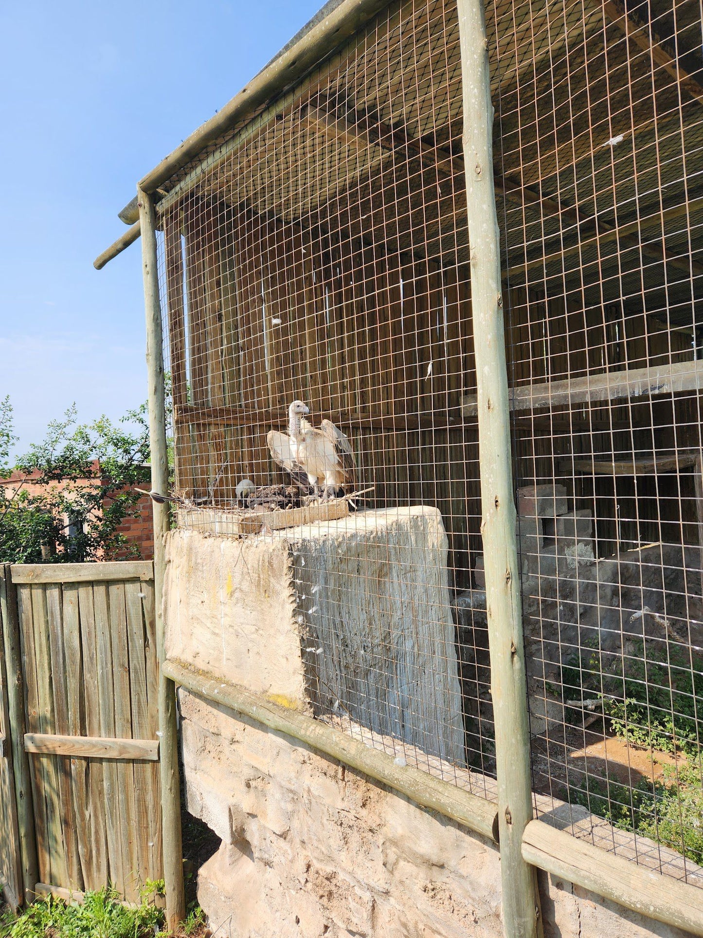  African Raptor Centre