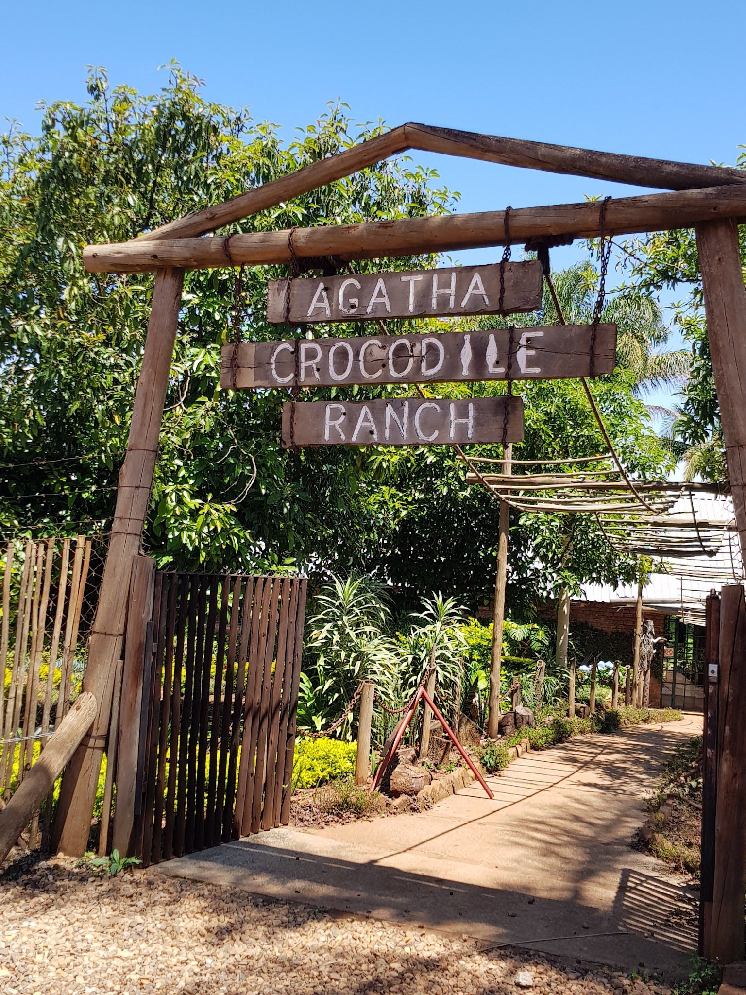  Agatha Crocodile Ranch