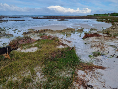  Agulhas National Park