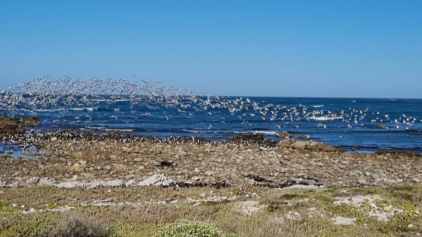  Agulhas National Park