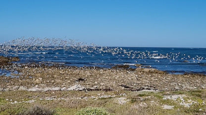  Agulhas National Park