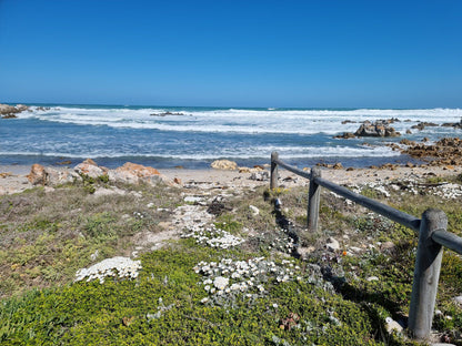  Agulhas National Park