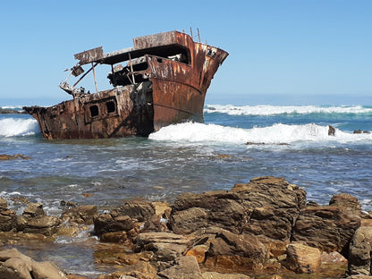  Agulhas National Park