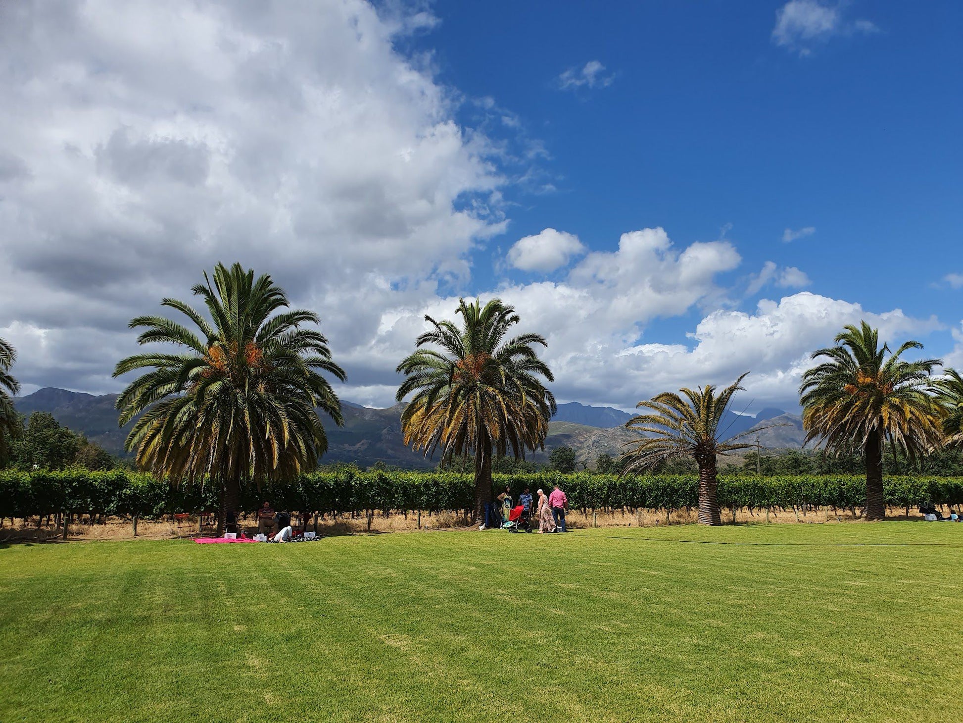  Allee Bleue Wine Estate