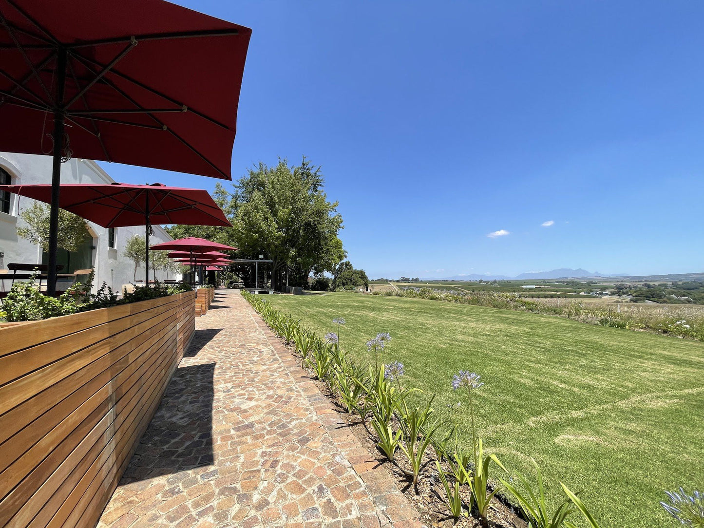  Alto Wine Estate