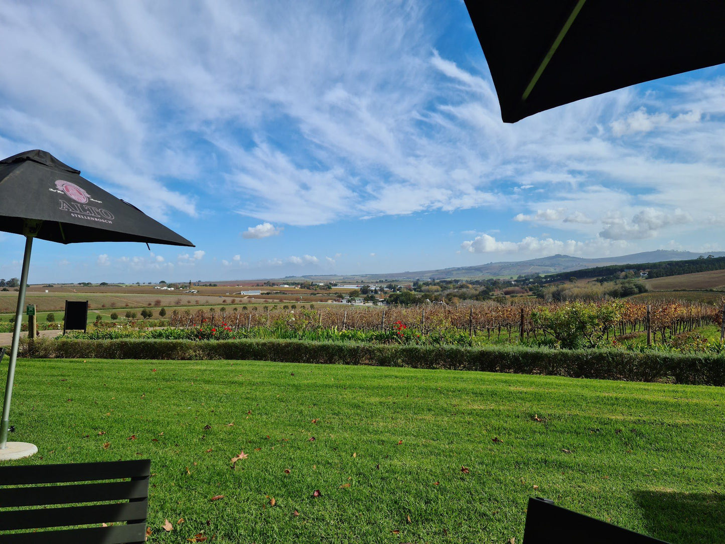  Alto Wine Estate