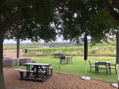  Alto Wine Estate