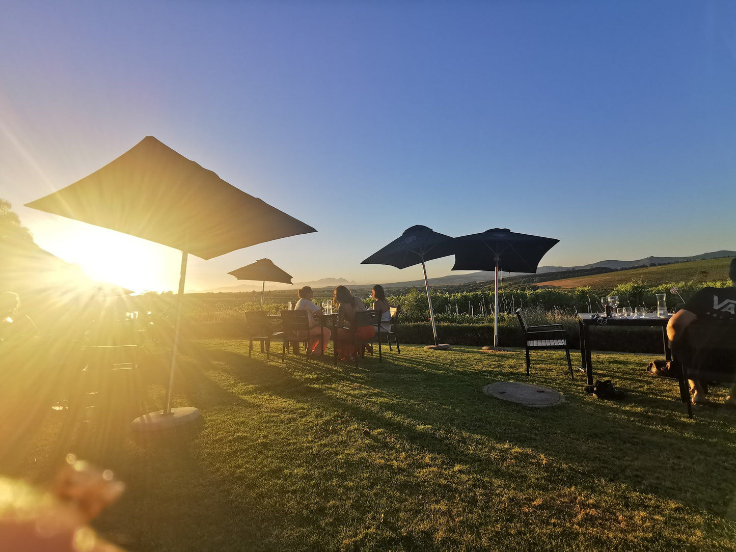  Alto Wine Estate