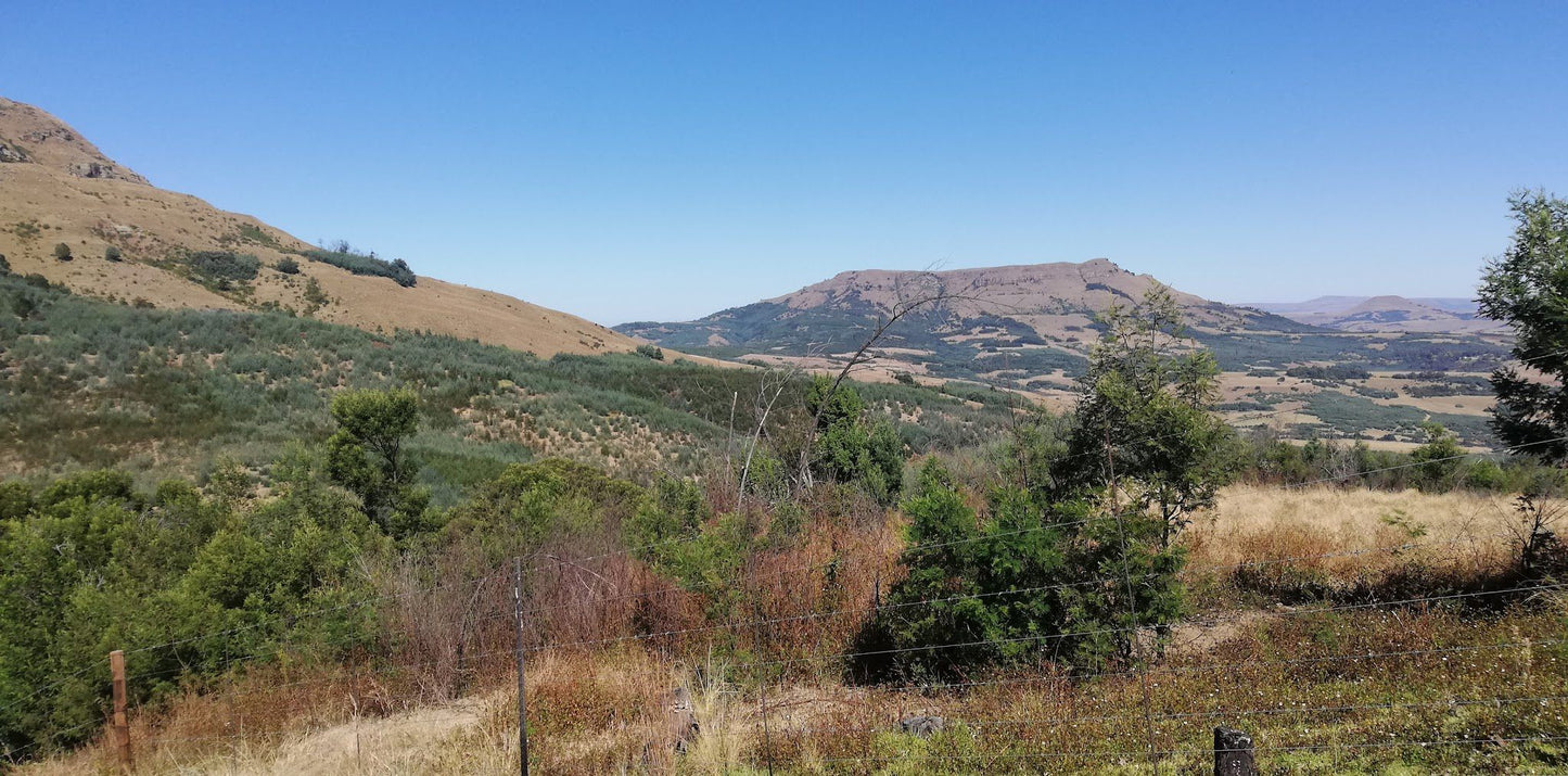  Amajuba Fees terrein /Majuba Memorial Campsite