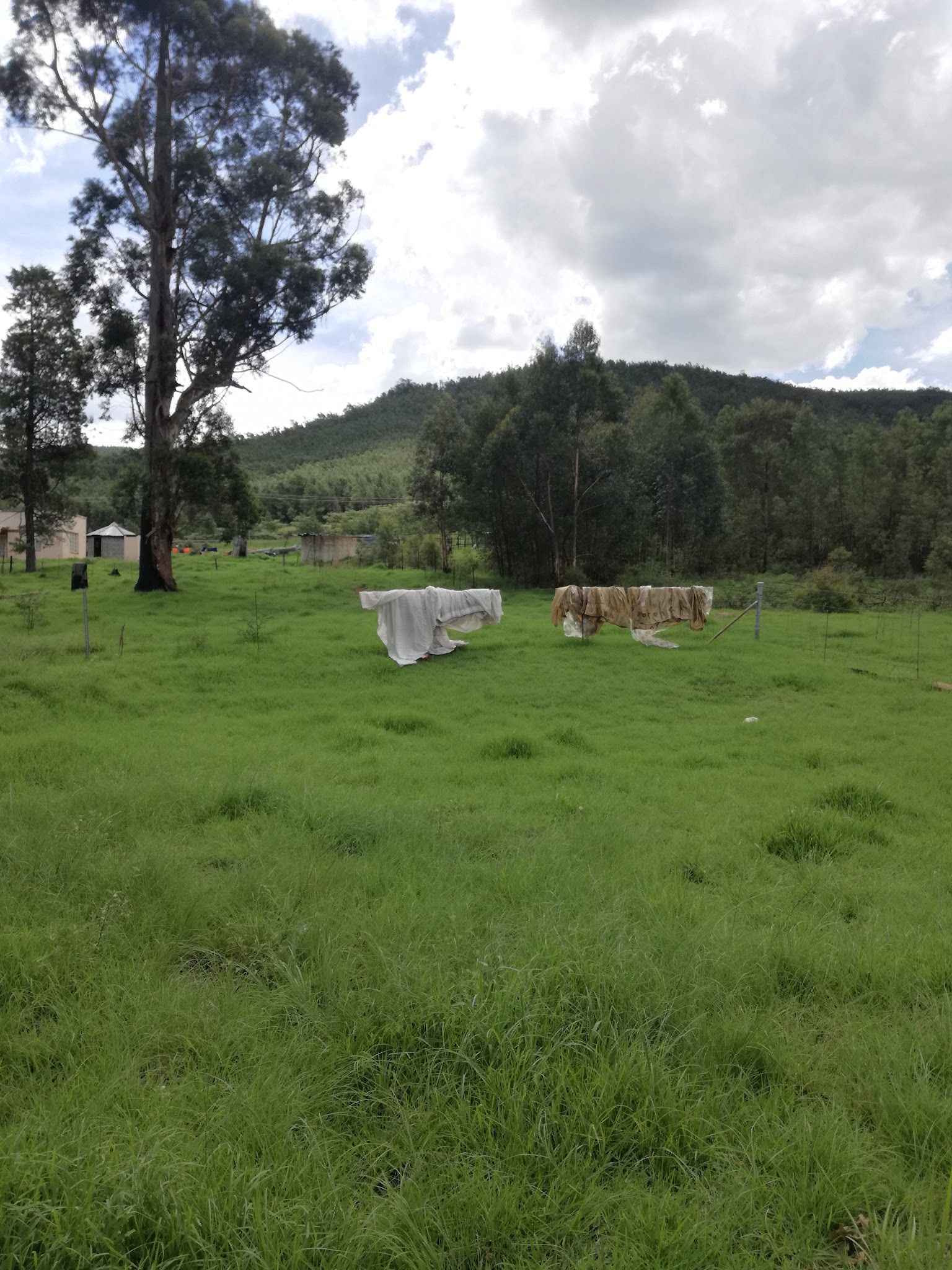  Amajuba Fees terrein /Majuba Memorial Campsite