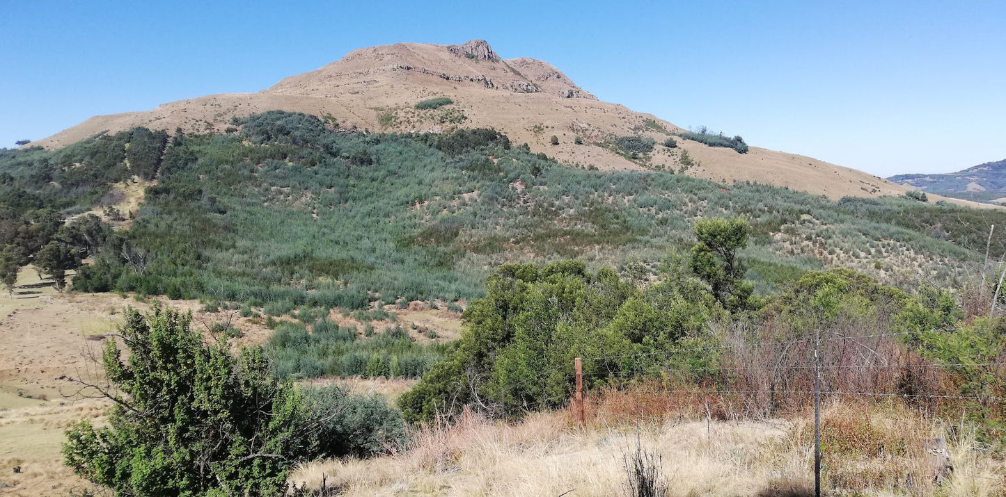  Amajuba Fees terrein /Majuba Memorial Campsite