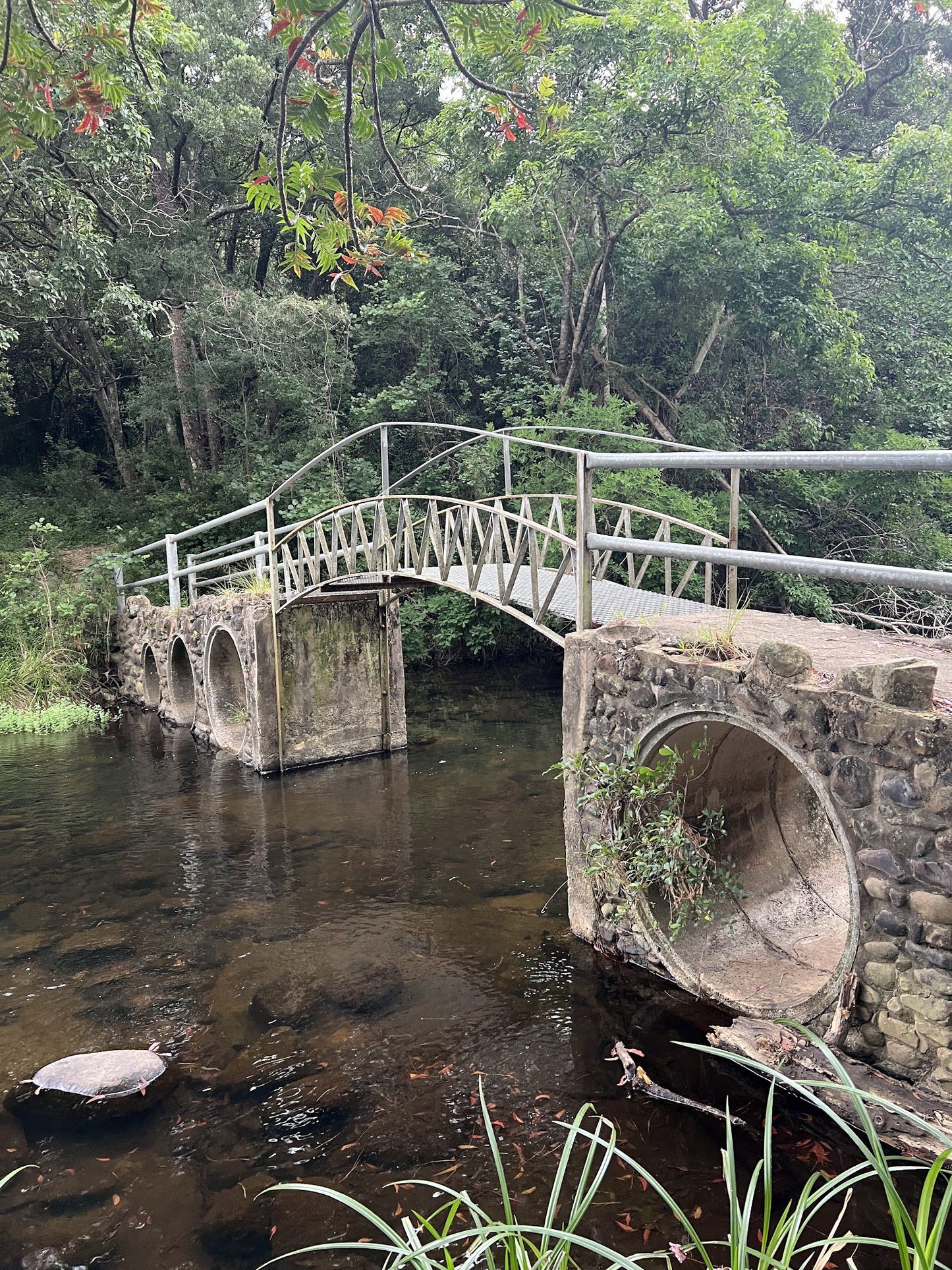 Amatola Hiking Trails