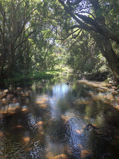 Amatola Hiking Trails