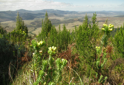 Amatola Trails