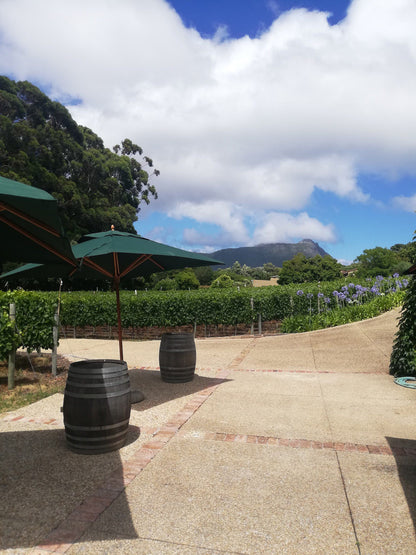  Ambeloui Wine Cellar