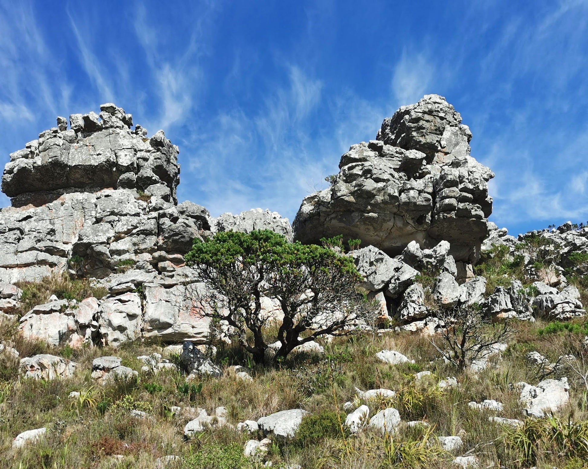  Amphitheatre Silver Mine Nature Reserve