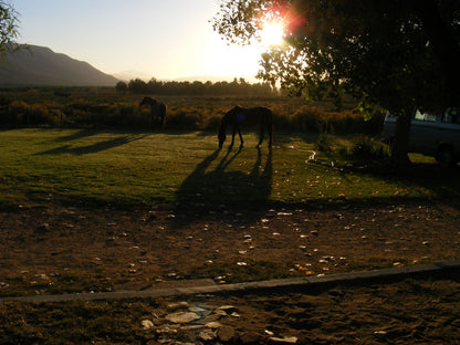  Anysberg Nature Reserve