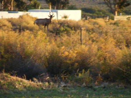  Anysberg Nature Reserve