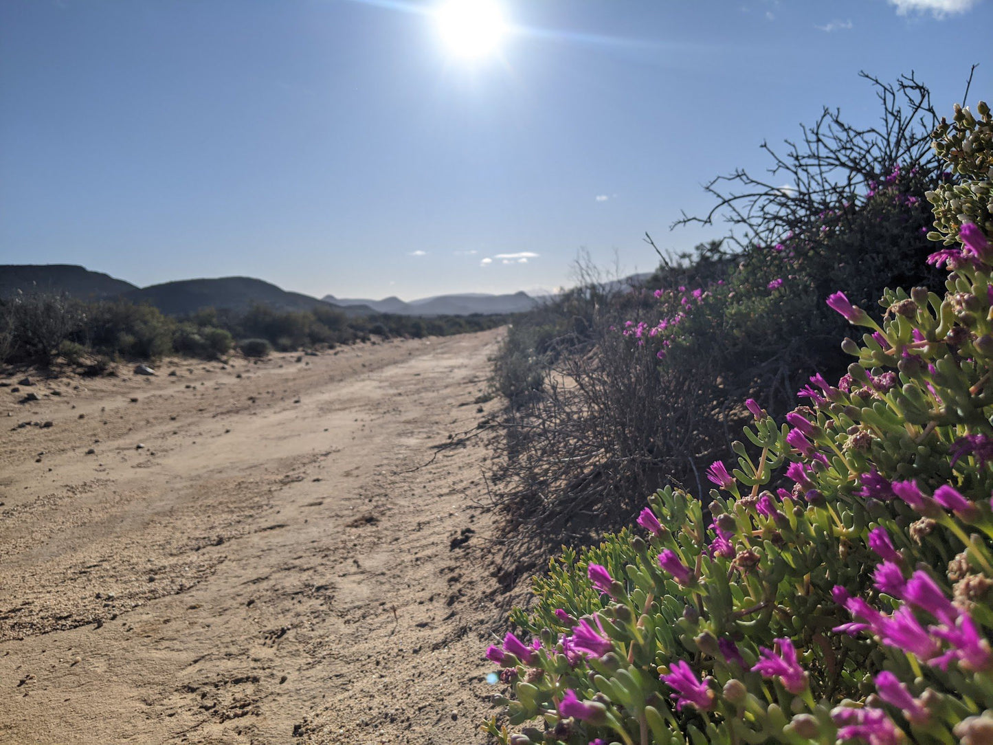  Anysberg Nature Reserve