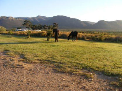  Anysberg Nature Reserve