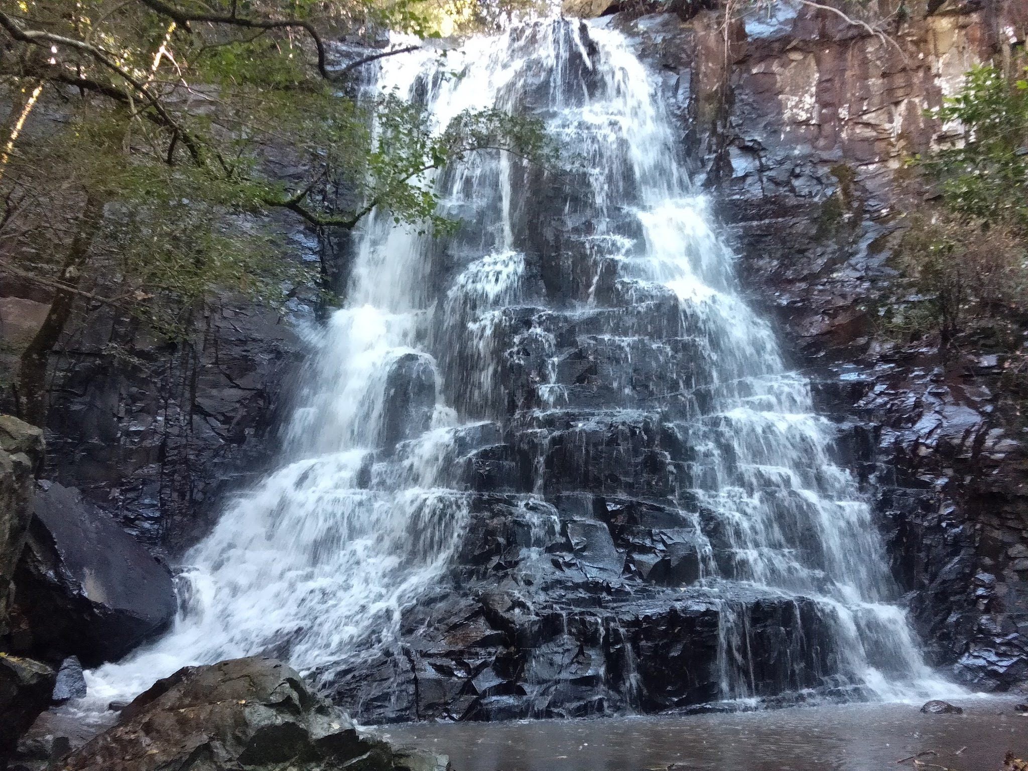  Arboretum Hogsback