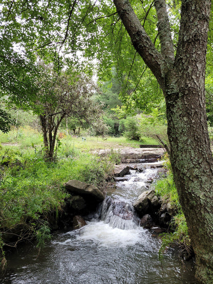  Arboretum Hogsback