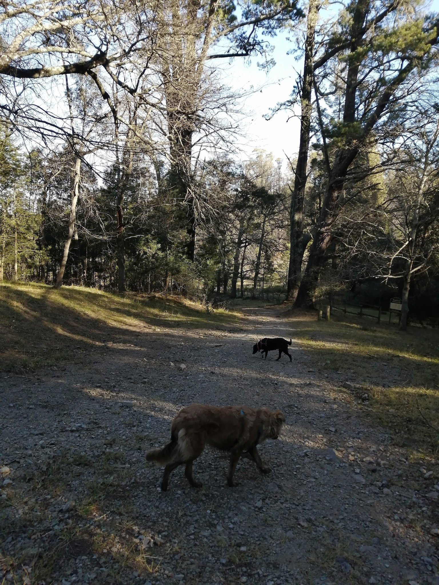  Arboretum Hogsback