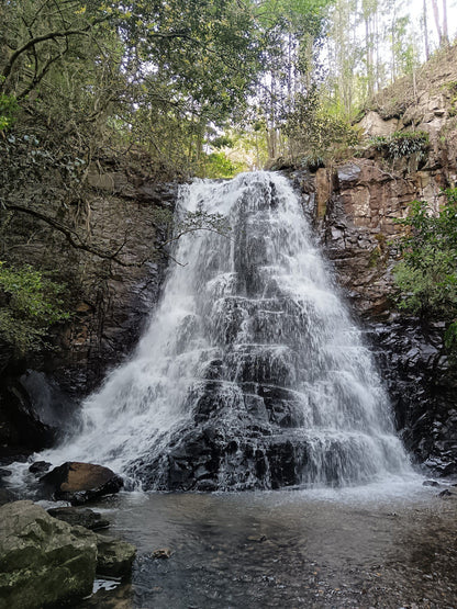  Arboretum Hogsback