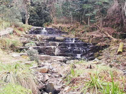  Arboretum Hogsback