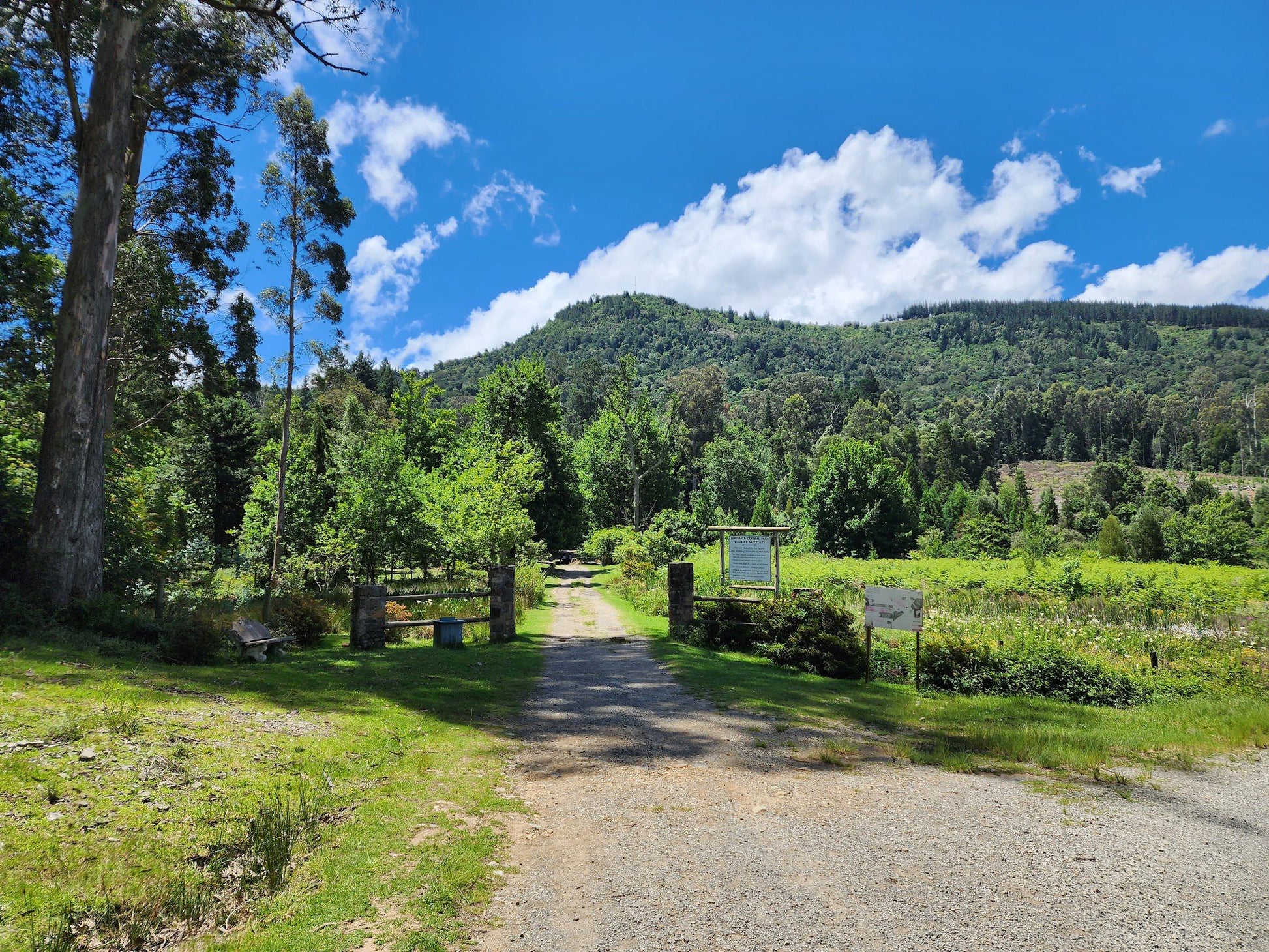  Arboretum Hogsback