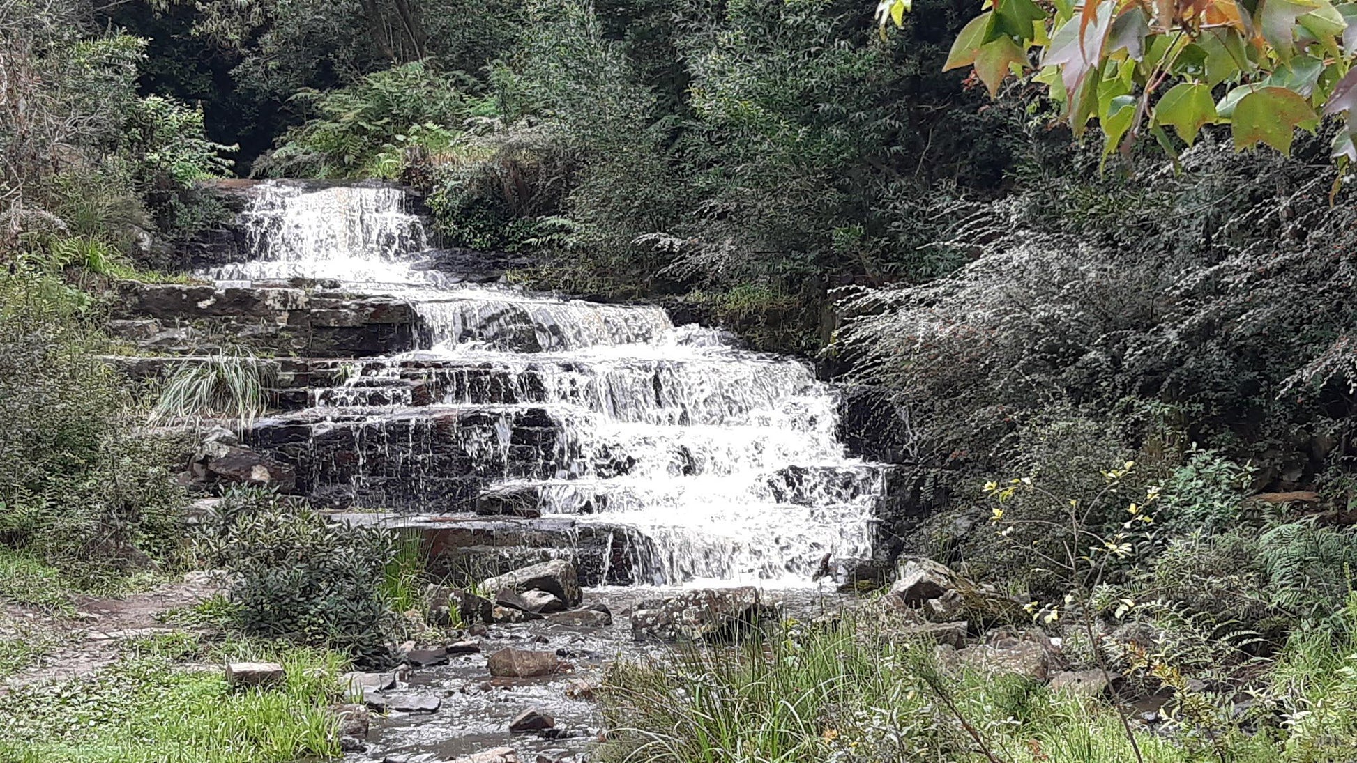  Arboretum Hogsback