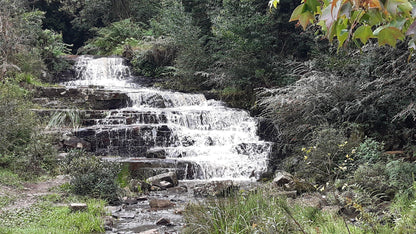  Arboretum Hogsback