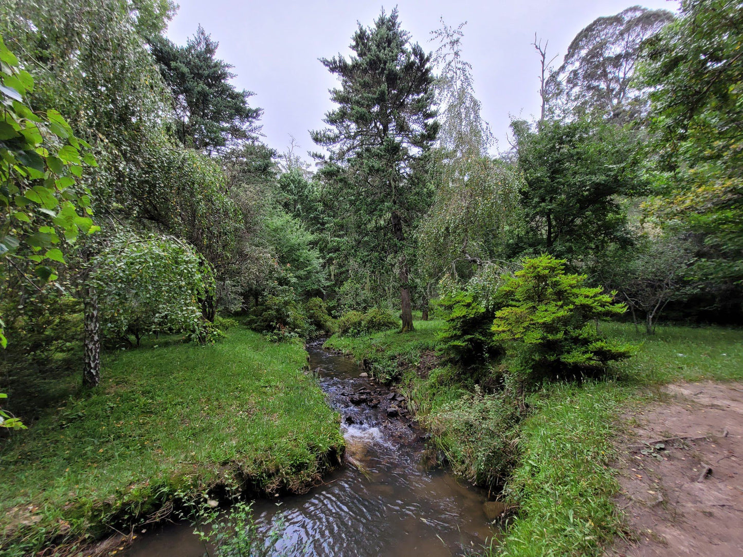  Arboretum Hogsback