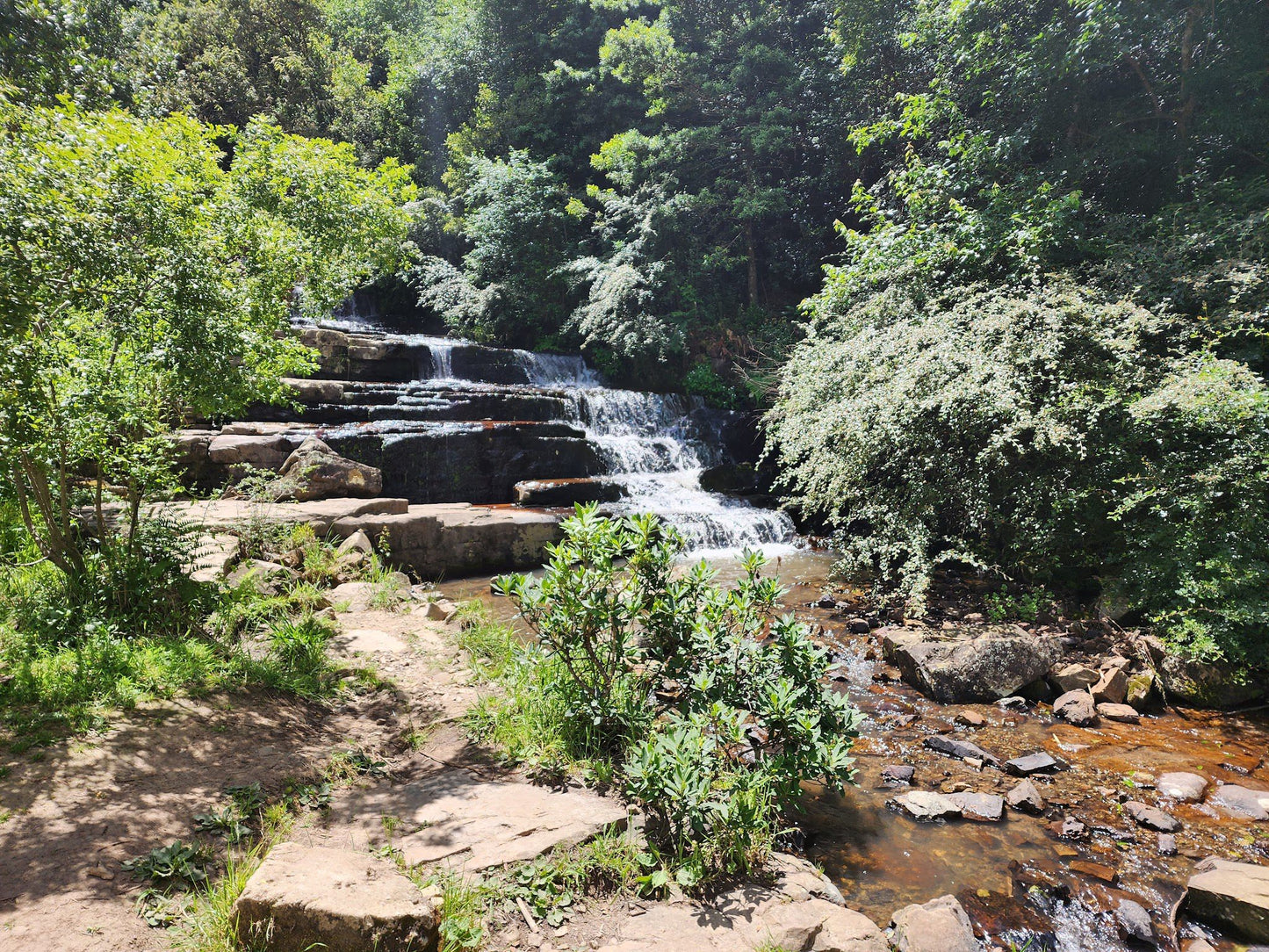  Arboretum Hogsback