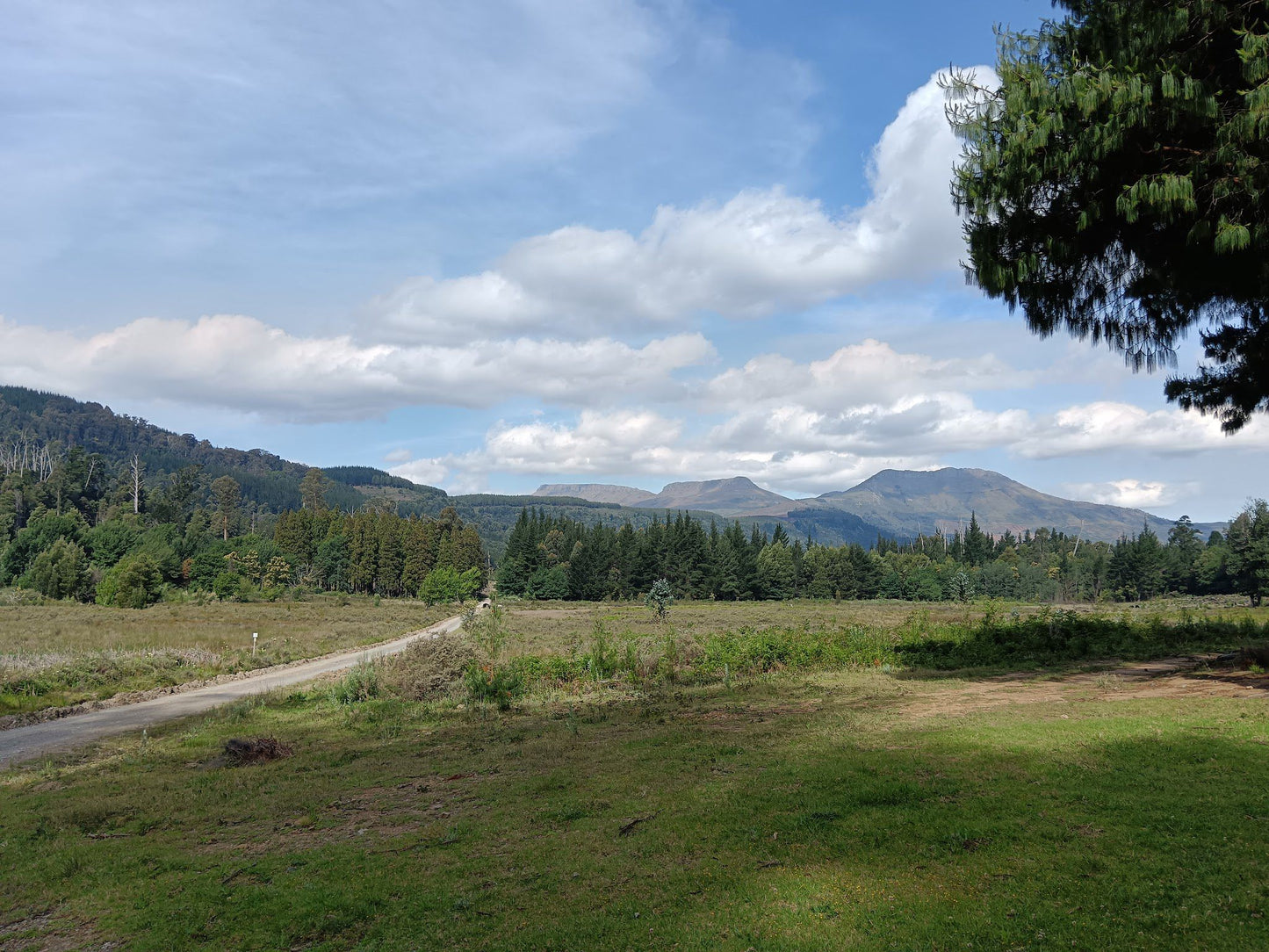  Arboretum Hogsback