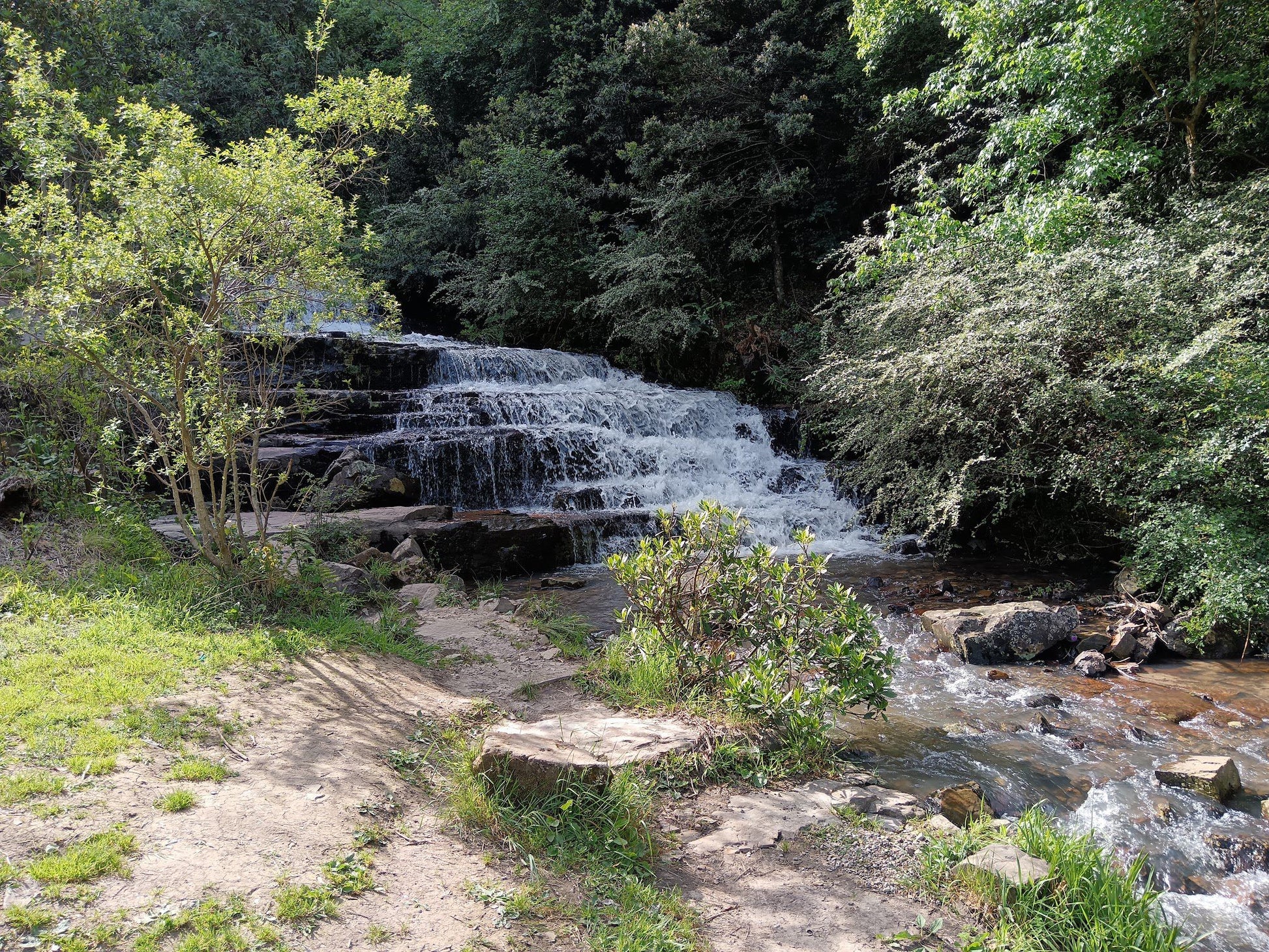  Arboretum Hogsback