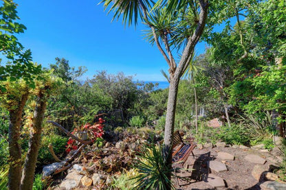 Arendsnes Wilderness Western Cape South Africa Complementary Colors, Palm Tree, Plant, Nature, Wood