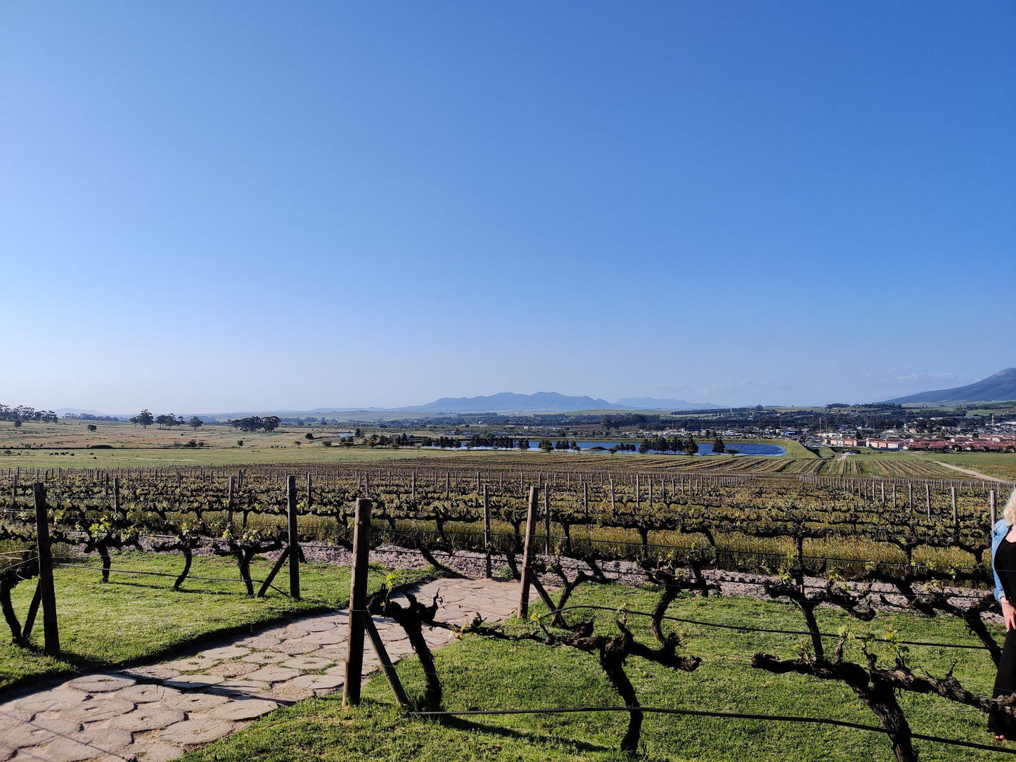  Arra Vineyards