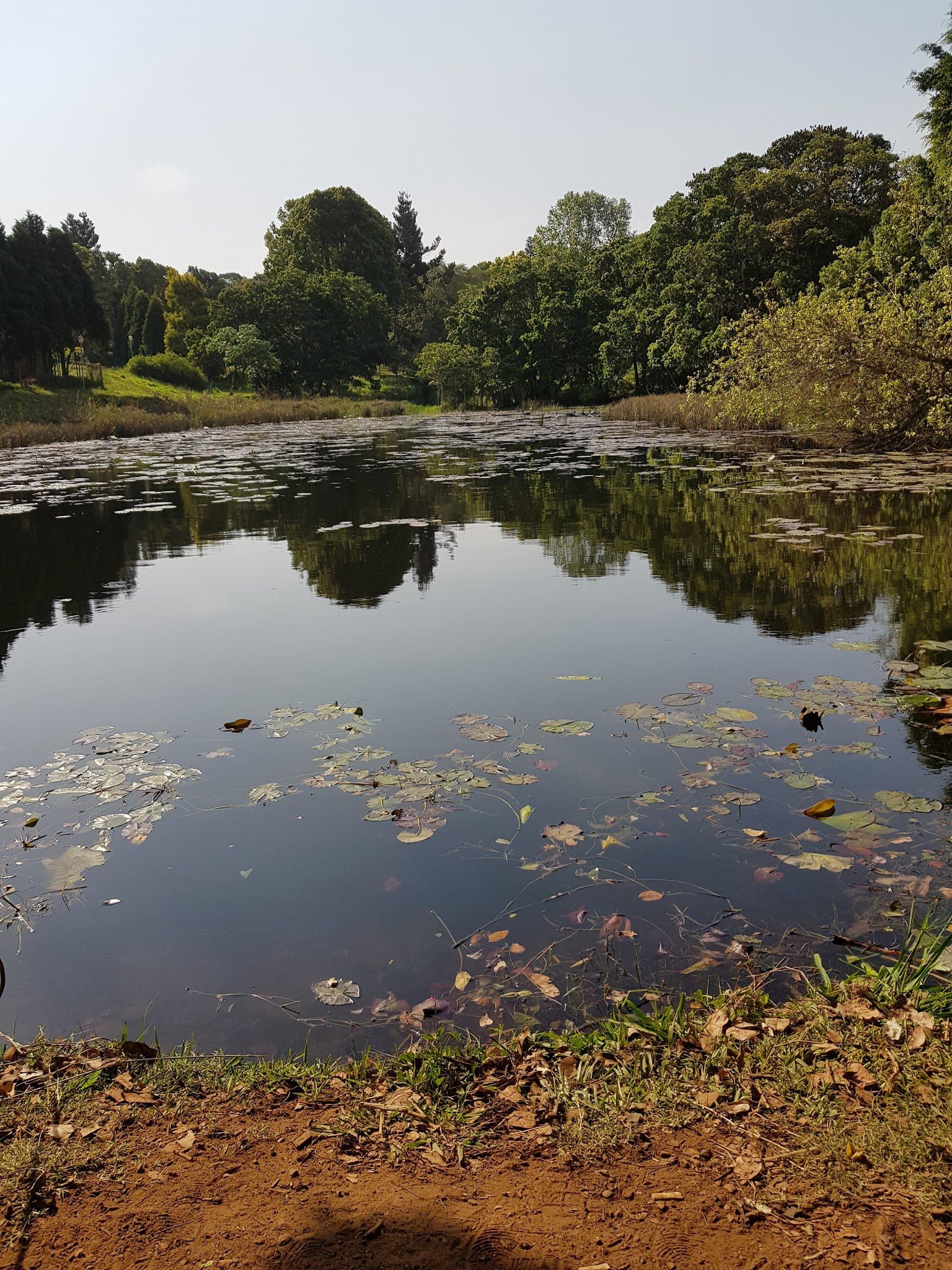  Ashley Drive Park