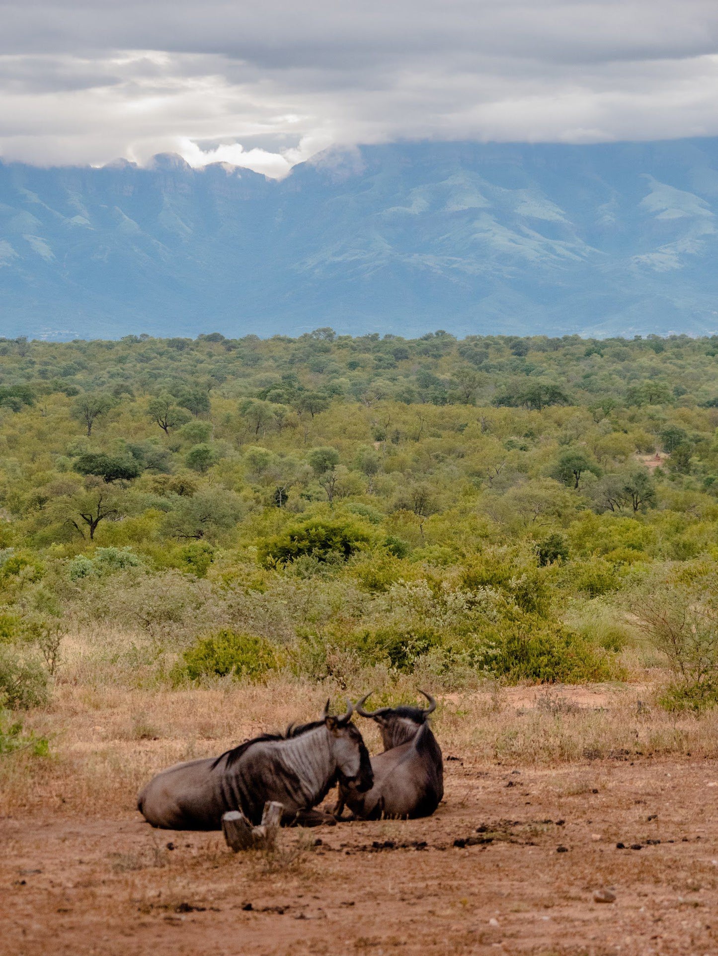  Askari Wilderness Conservation Programme