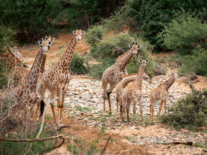  Askari Wilderness Conservation Programme