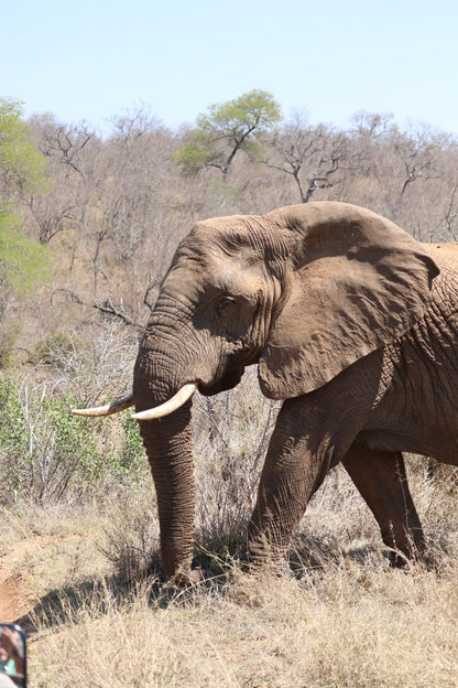  Askari Wilderness Conservation Programme