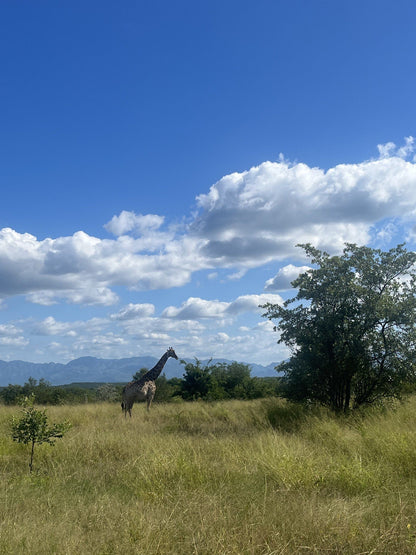  Askari Wilderness Conservation Programme