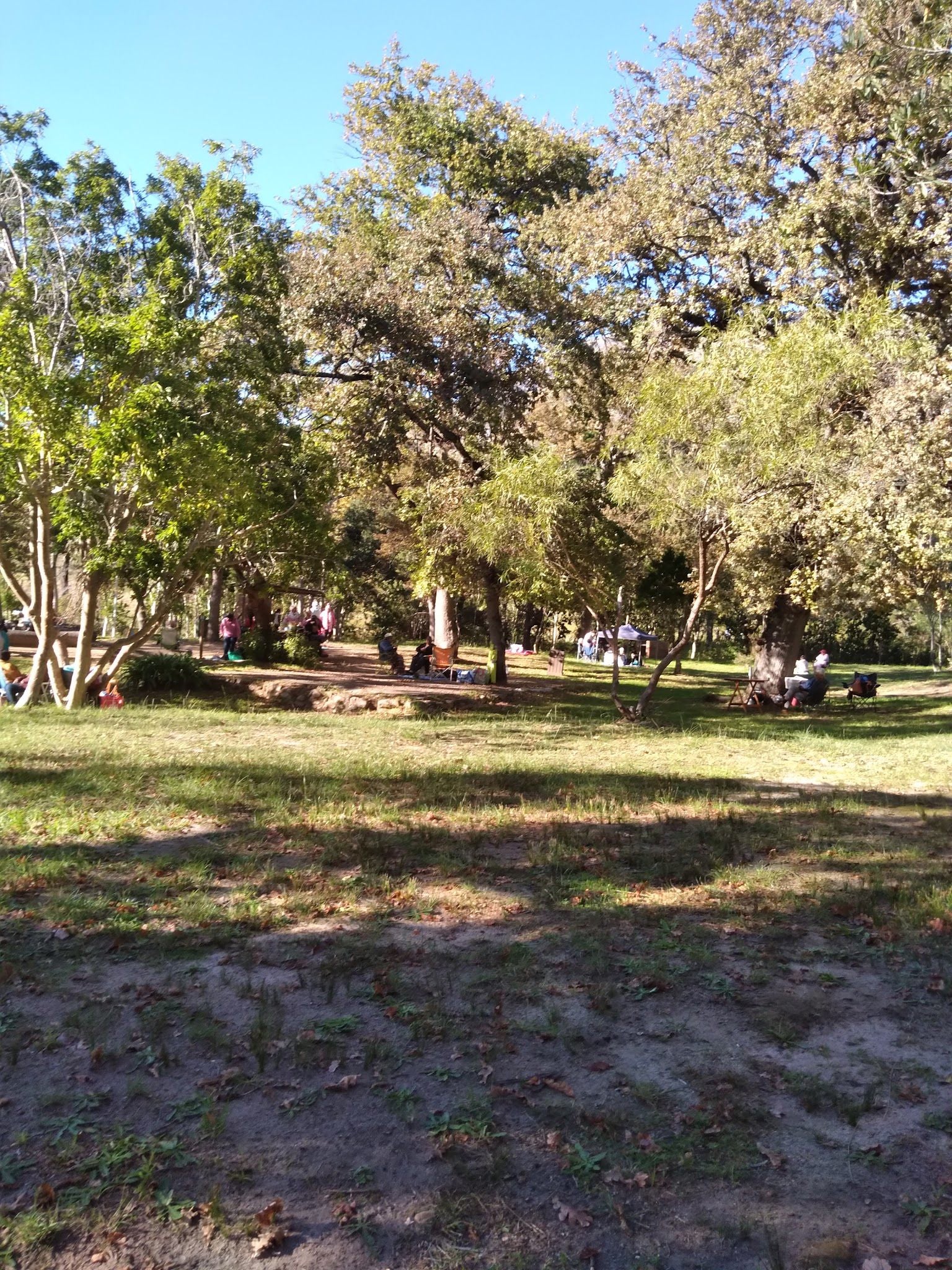  Assegaaibosch Nature Reserve