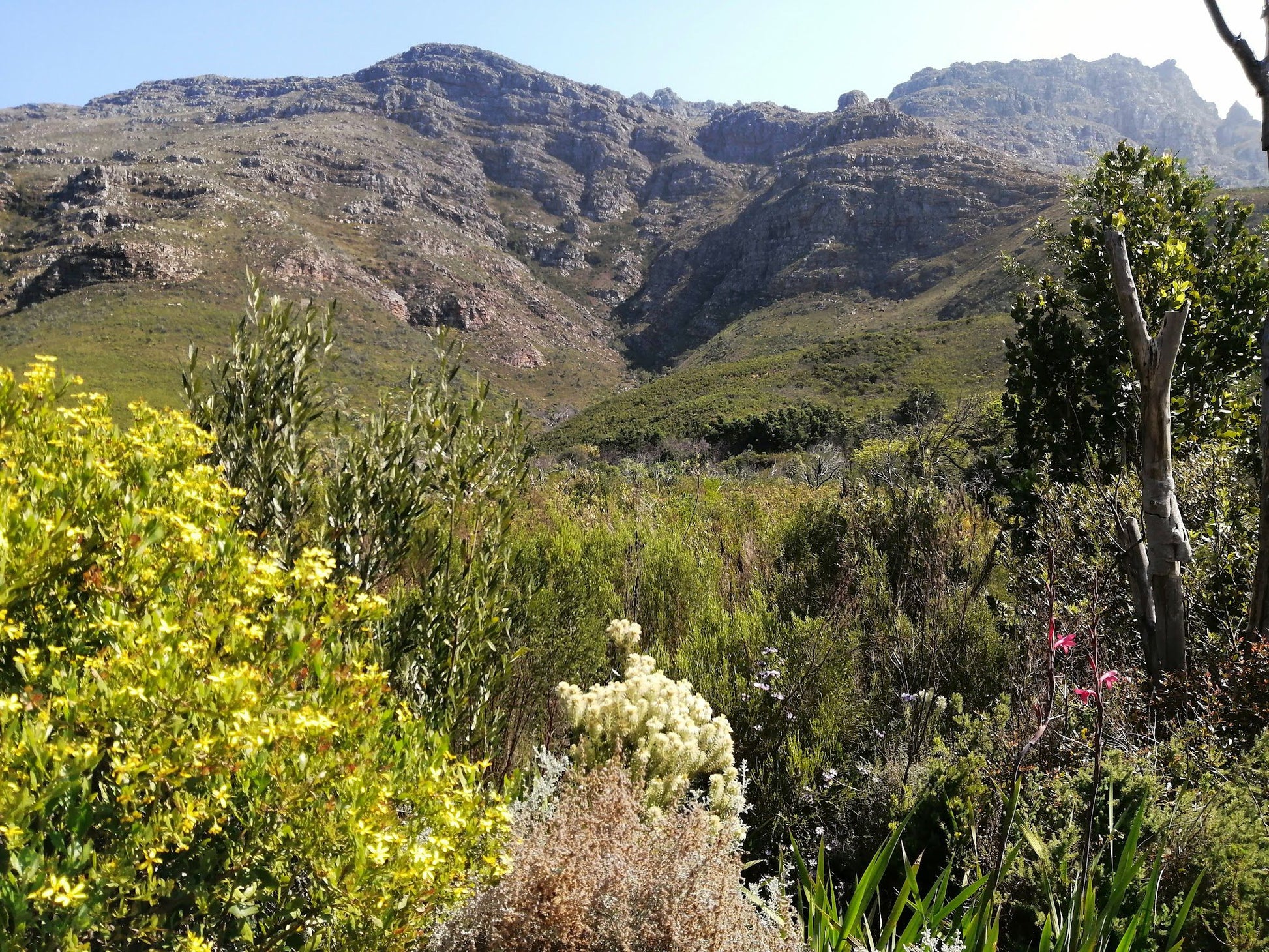  Assegaaibosch Nature Reserve