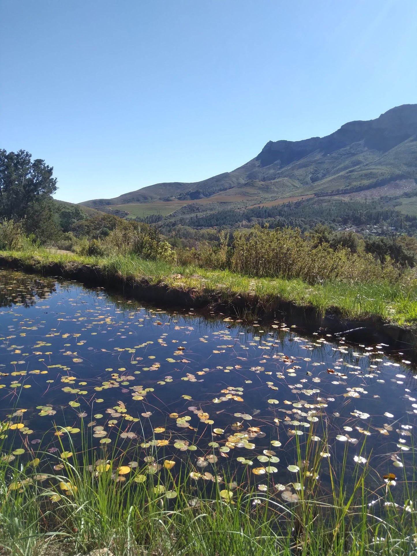  Assegaaibosch Nature Reserve