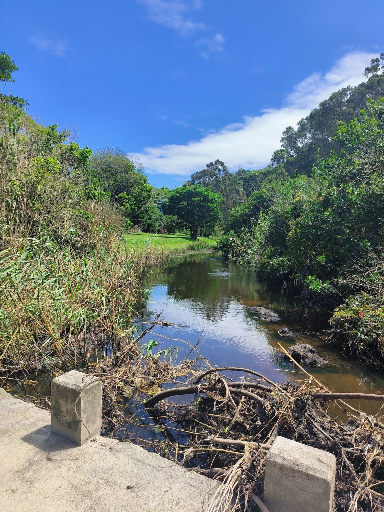  Baakens Valley