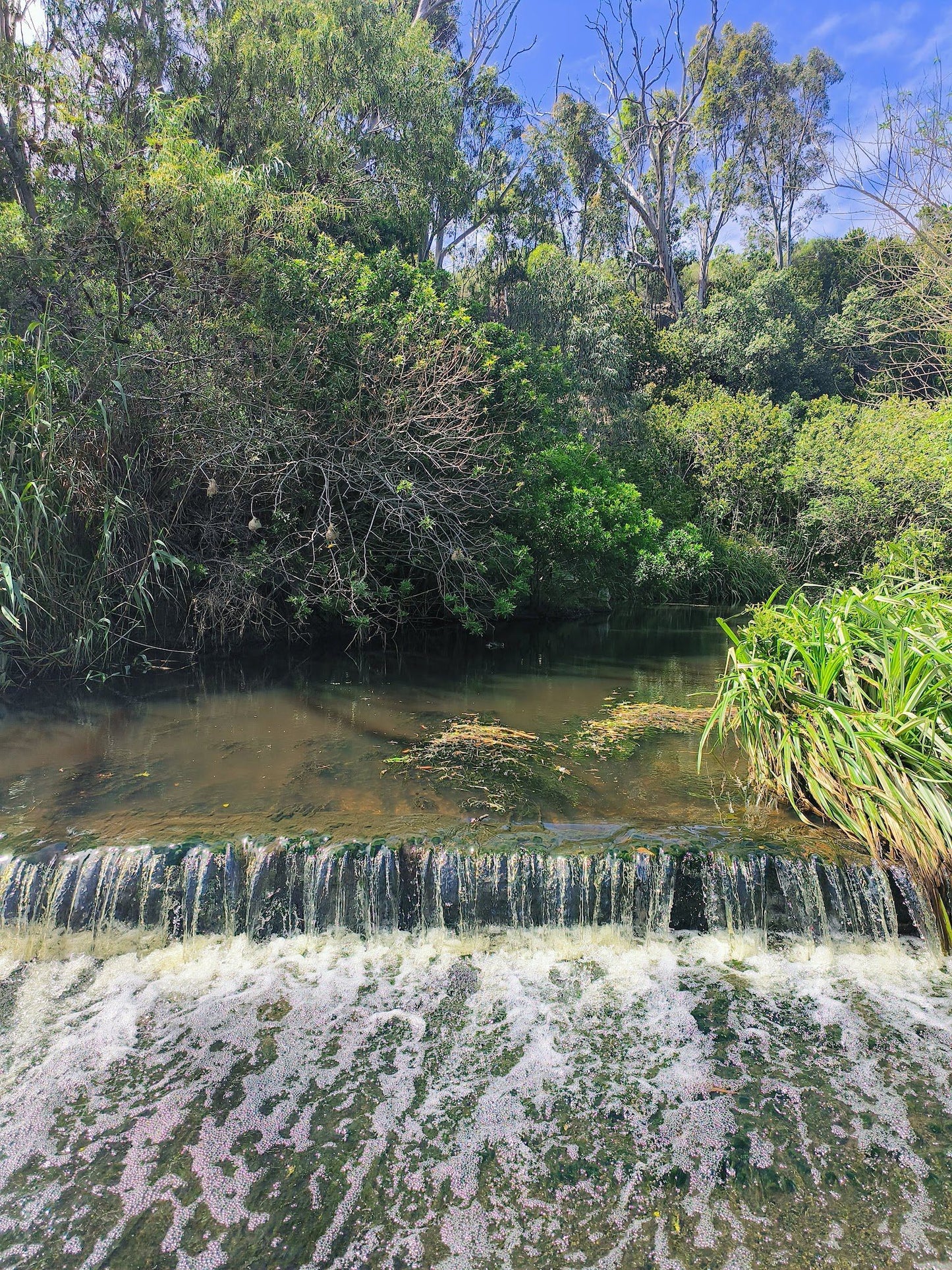  Baakens Valley