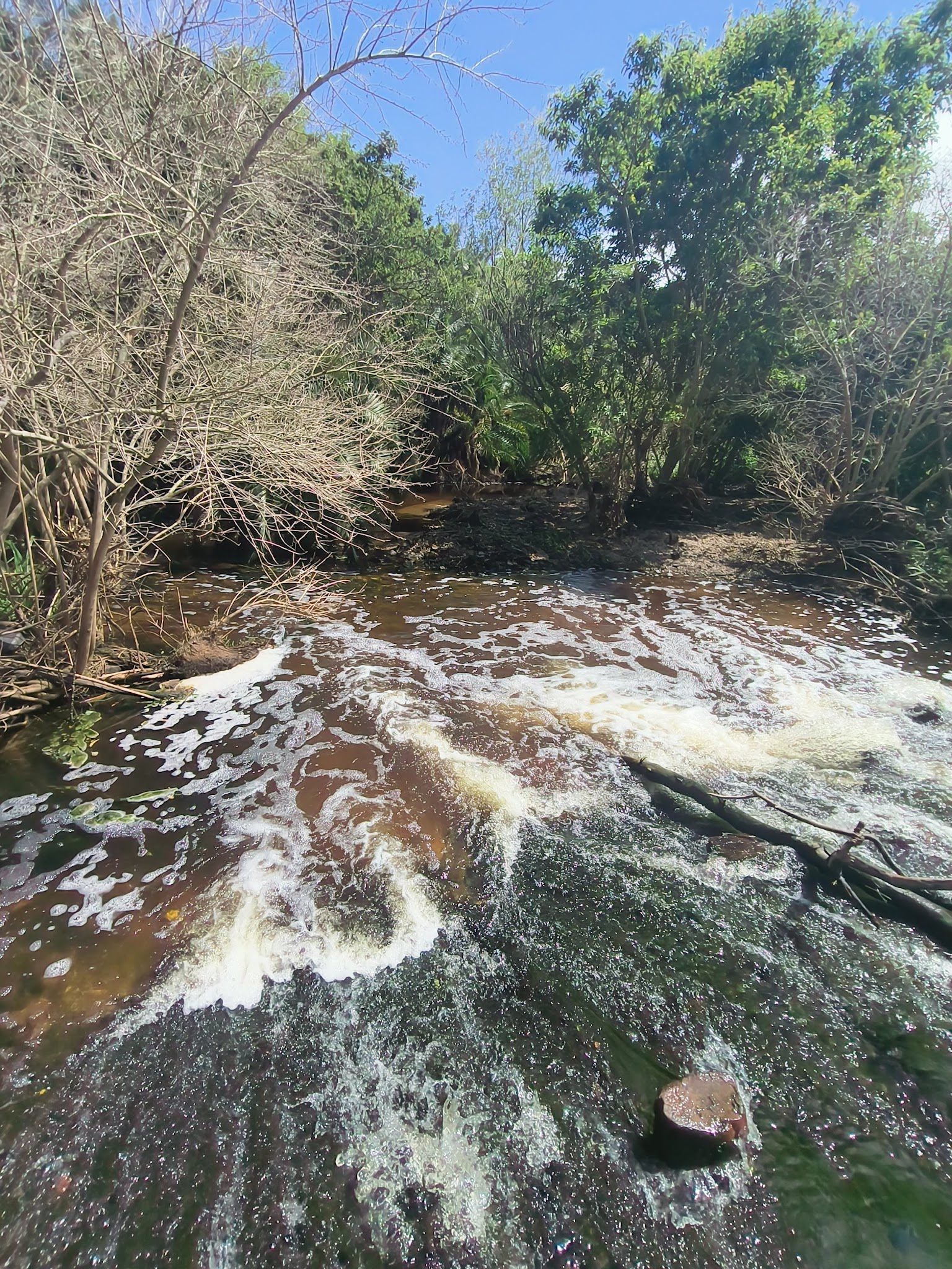  Baakens Valley