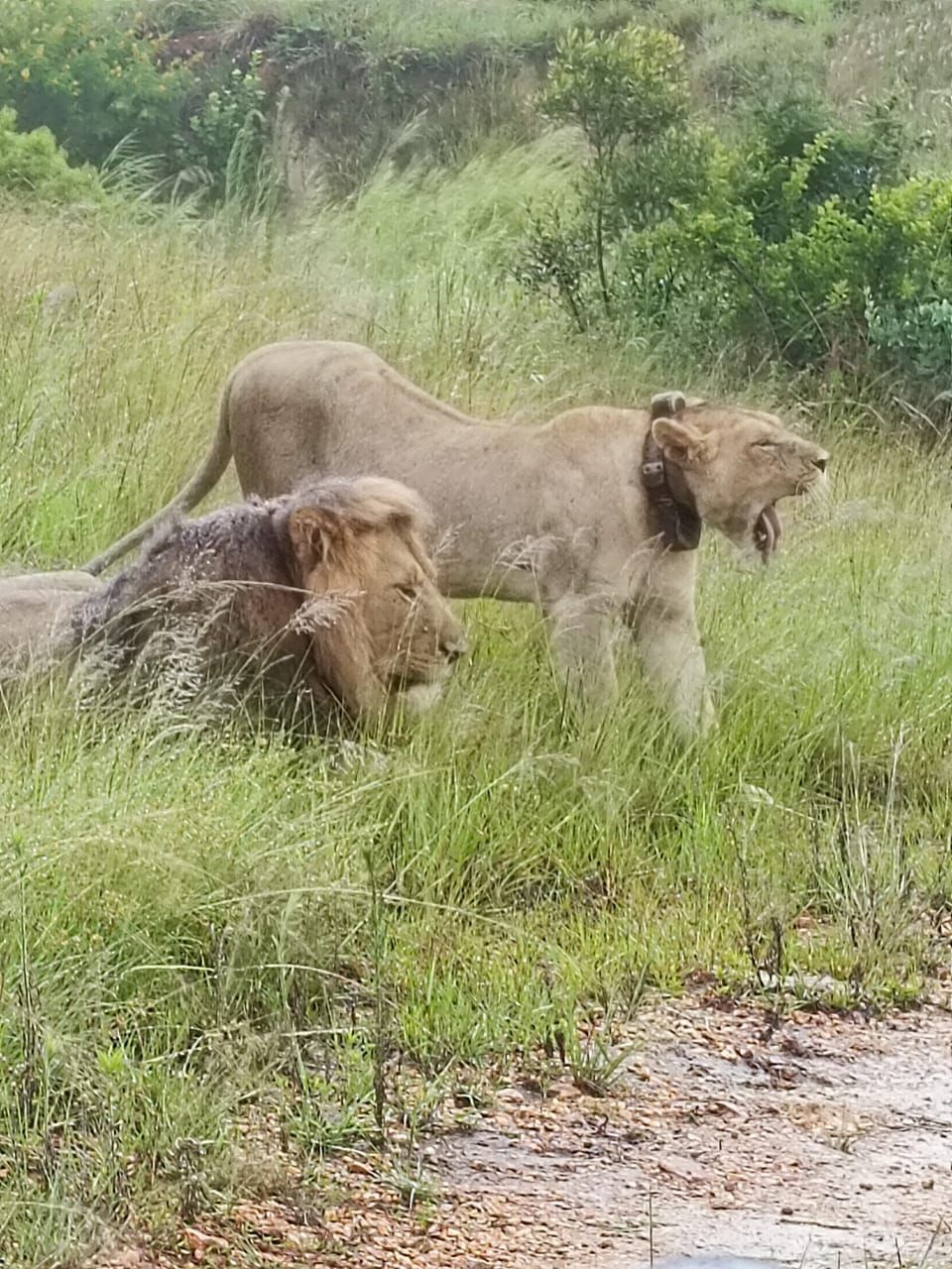  Babanango Game Reserve